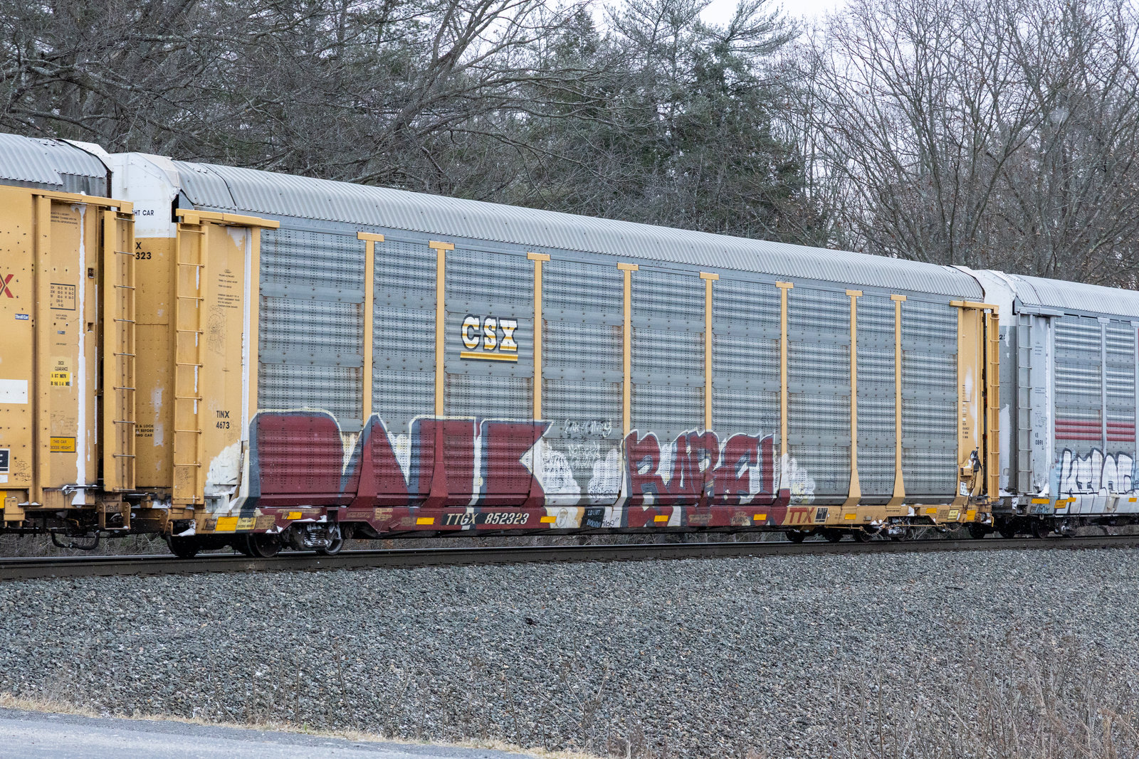 TTGX 852323