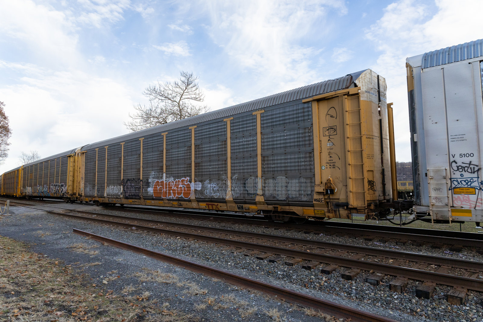 TTGX 852608