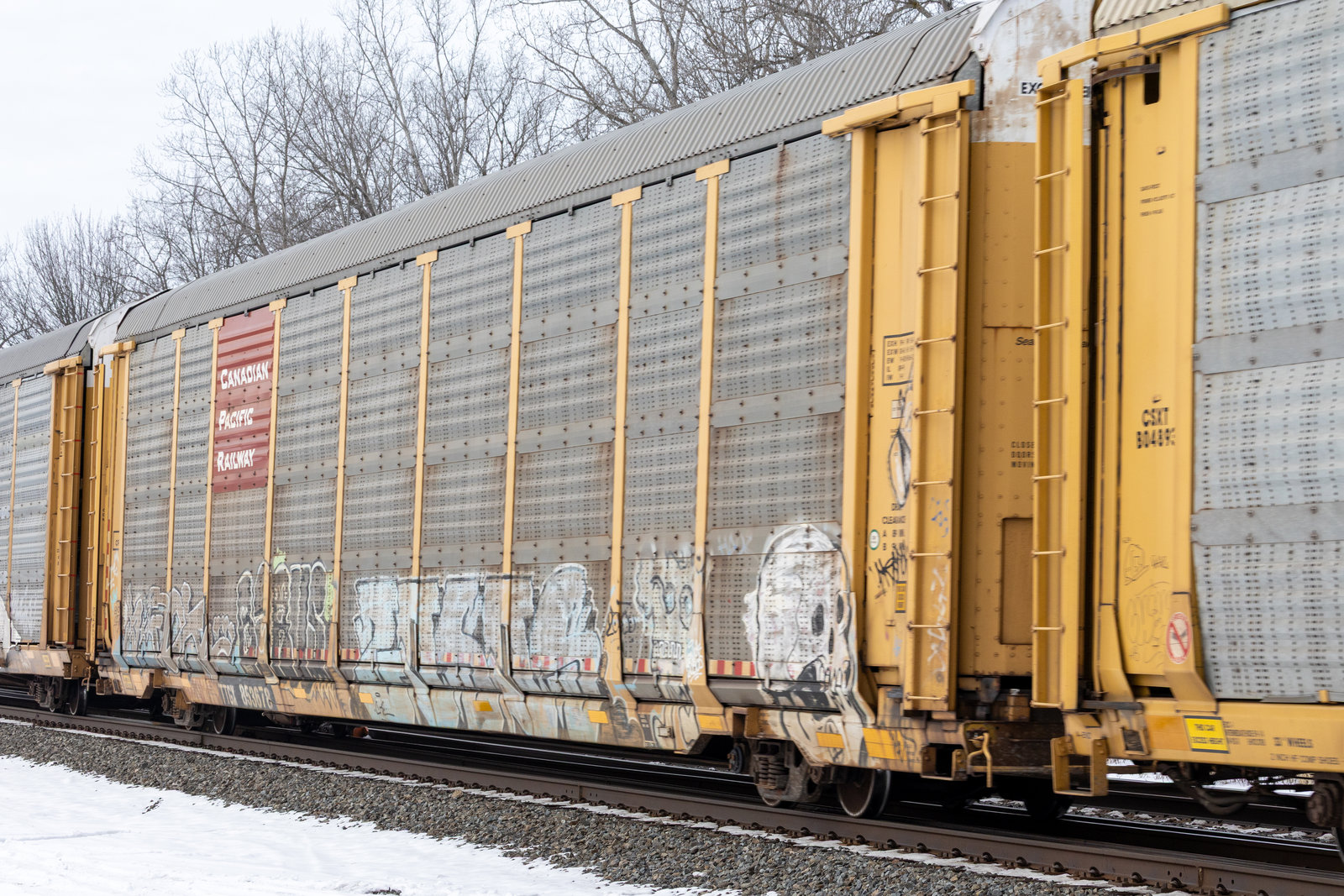 TTGX 853678
