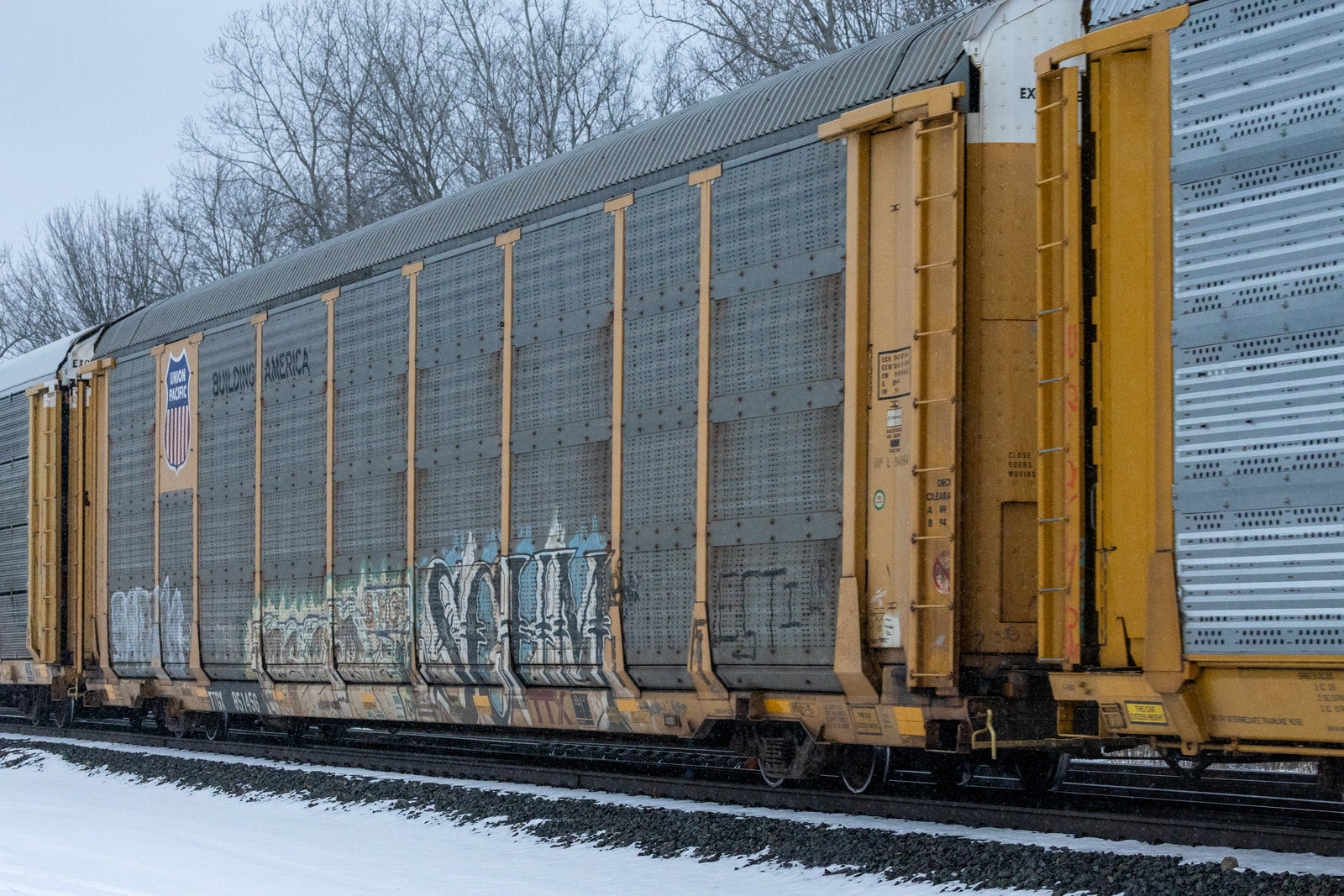 TTGX 851456