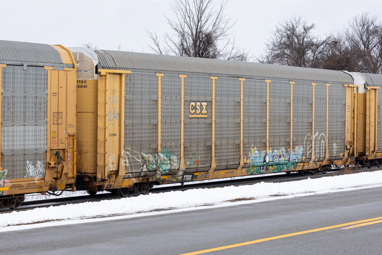 TTGX 853141