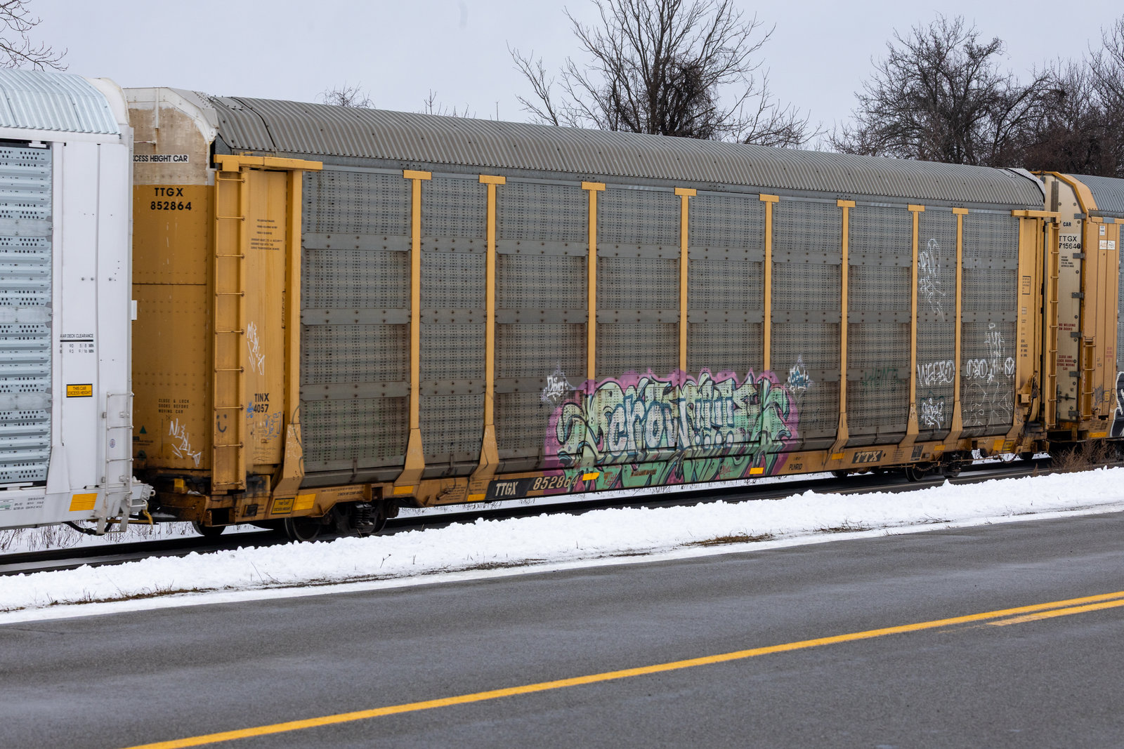 TTGX 852864