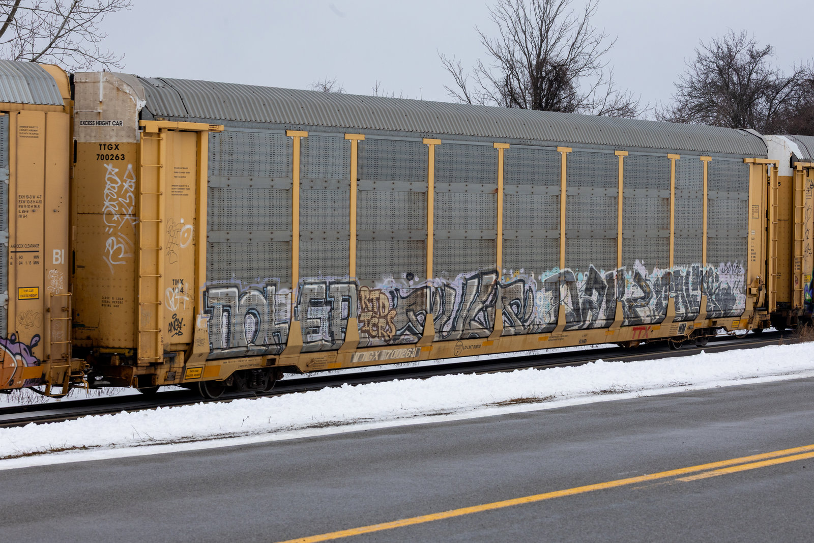 TTGX 700263