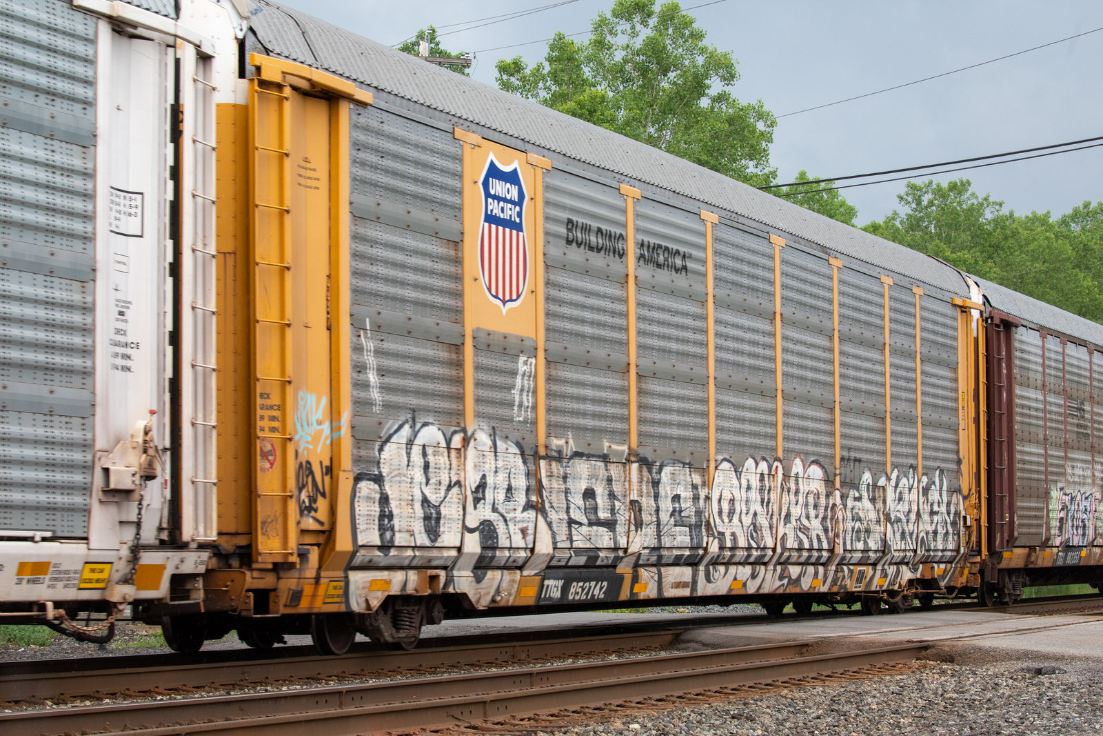 TTGX 852742