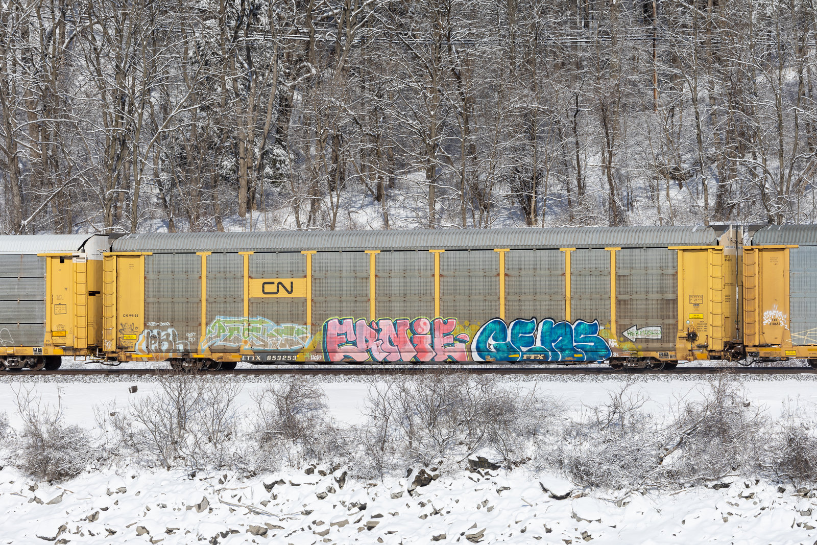 ETTX 853253