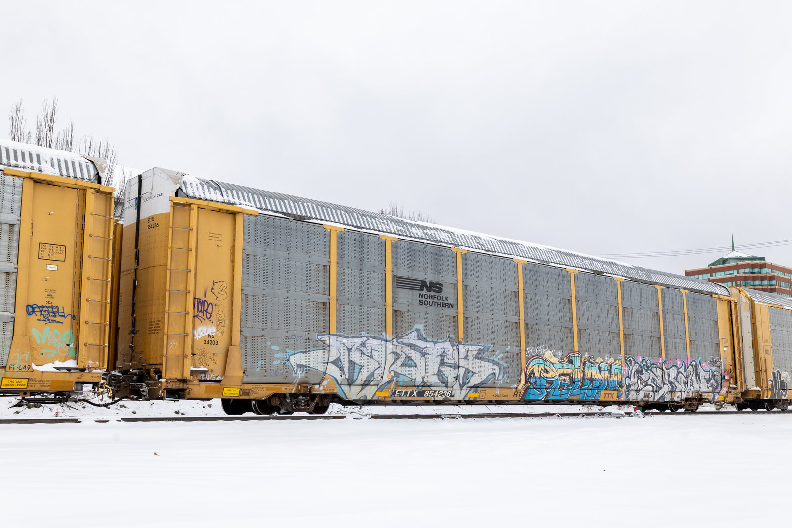 ETTX 854236