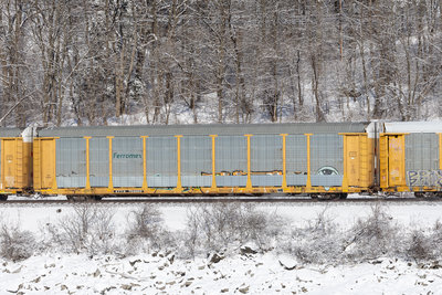 ETTX 704003