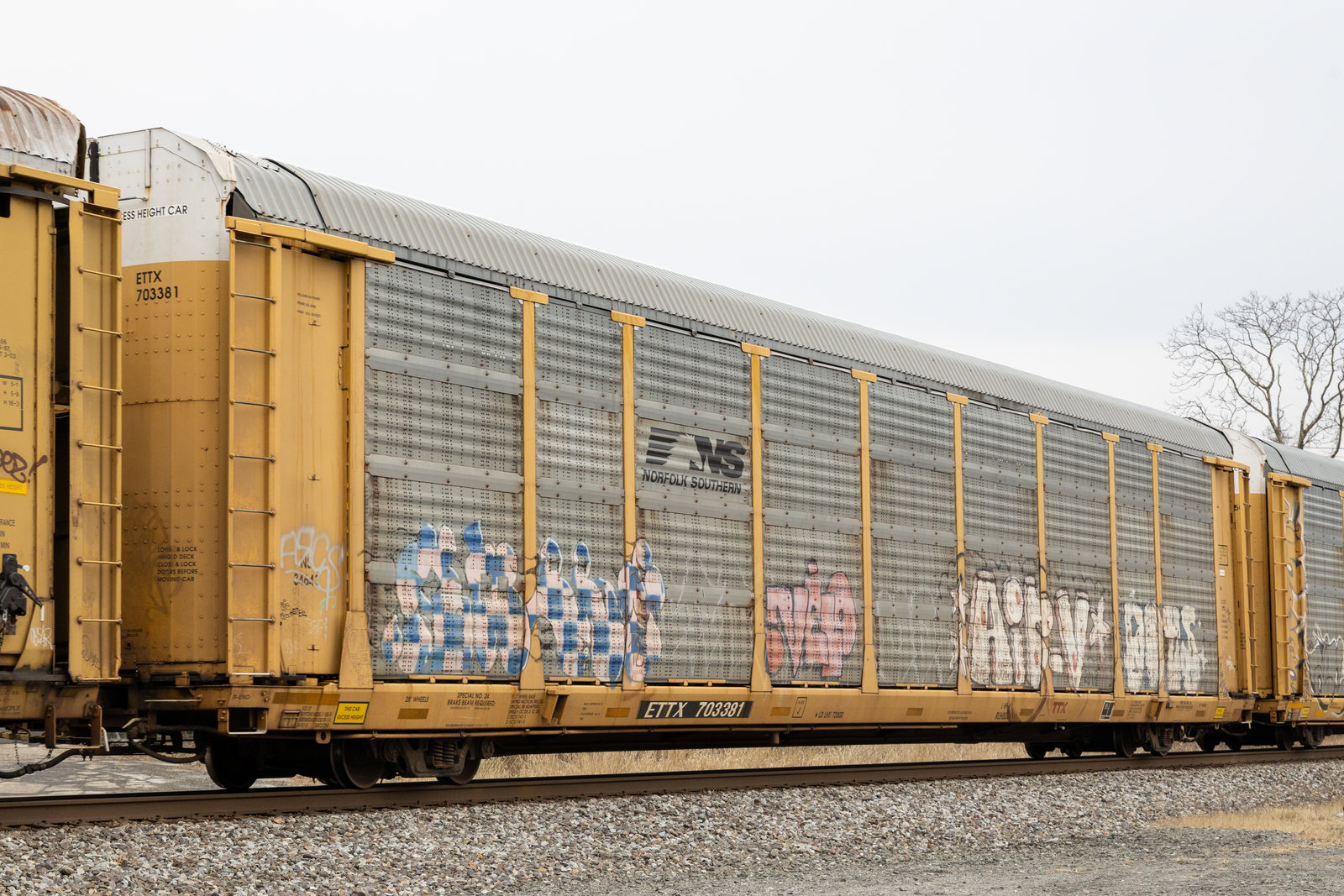 ETTX 703381