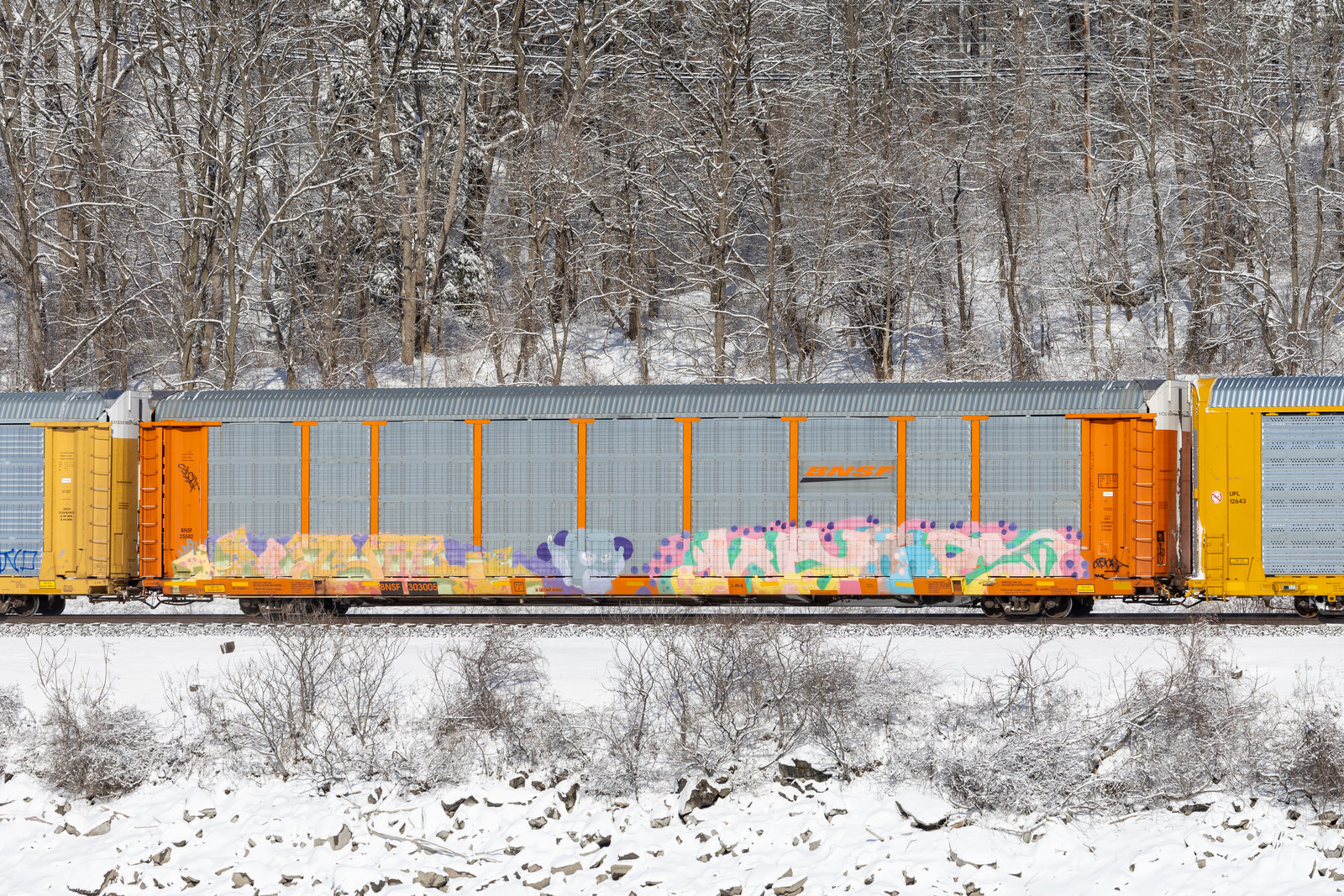 BNSF 303005