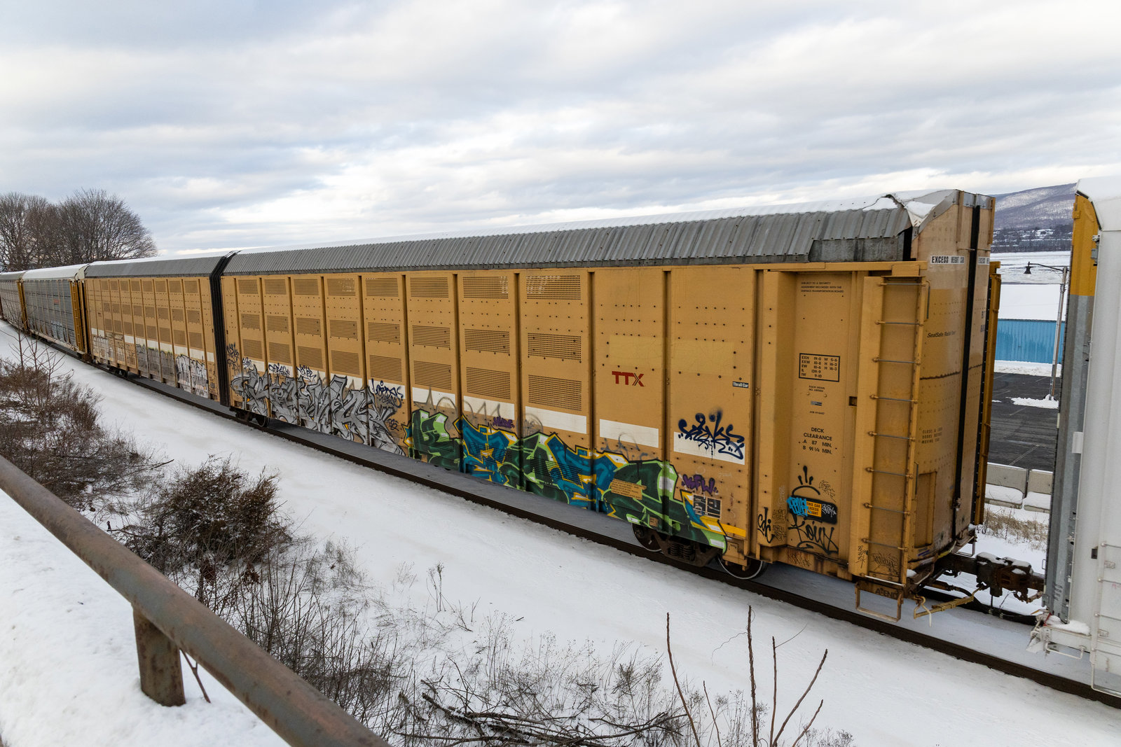 BTTX 880292
