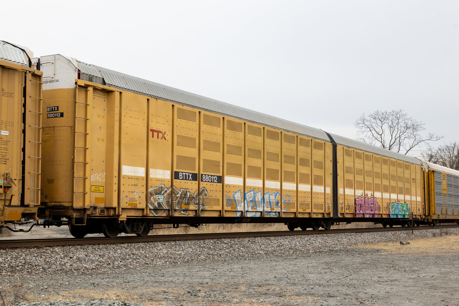 BTTX 880112