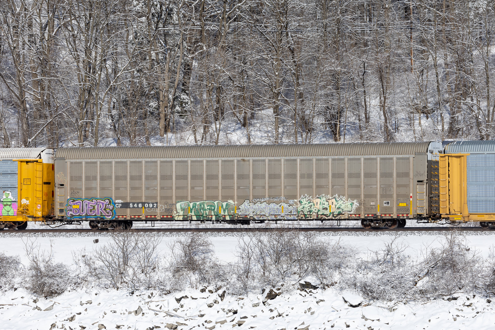 CP 546092