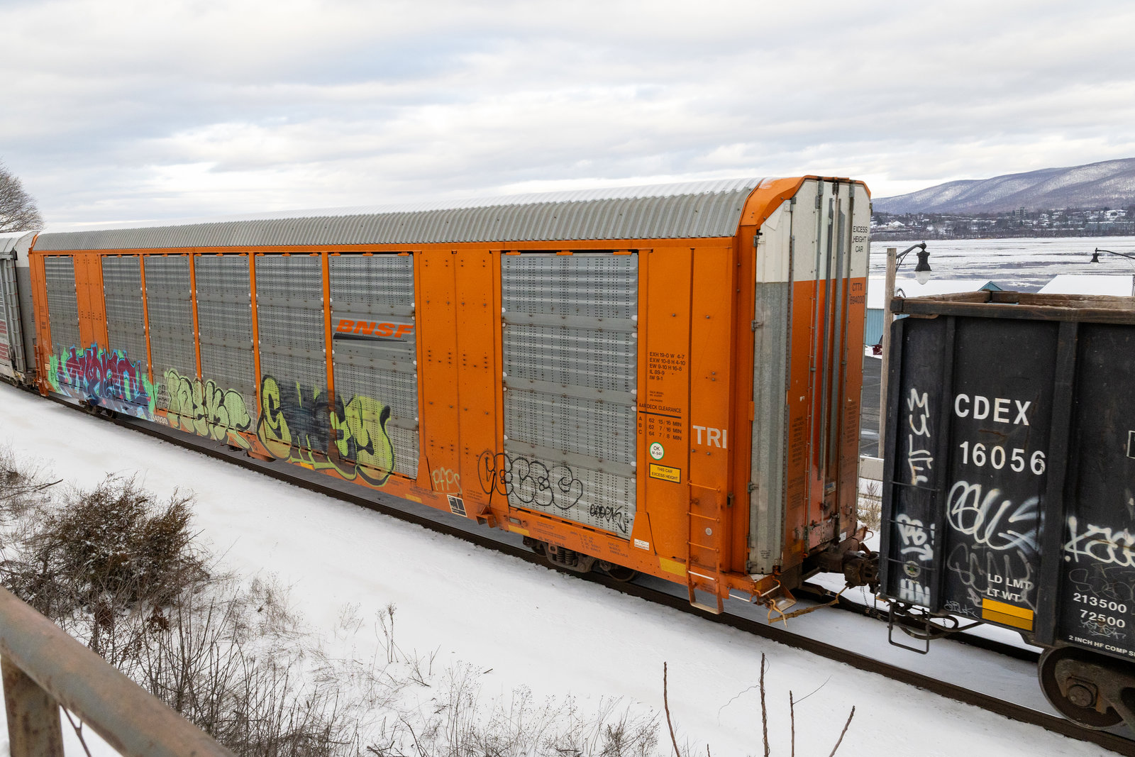 CTTX 694030