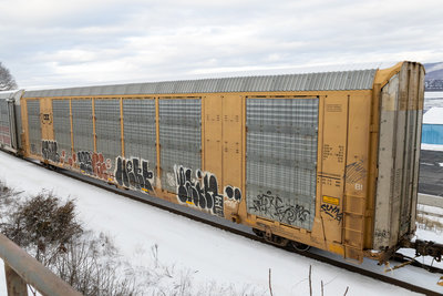 CTTX 690583