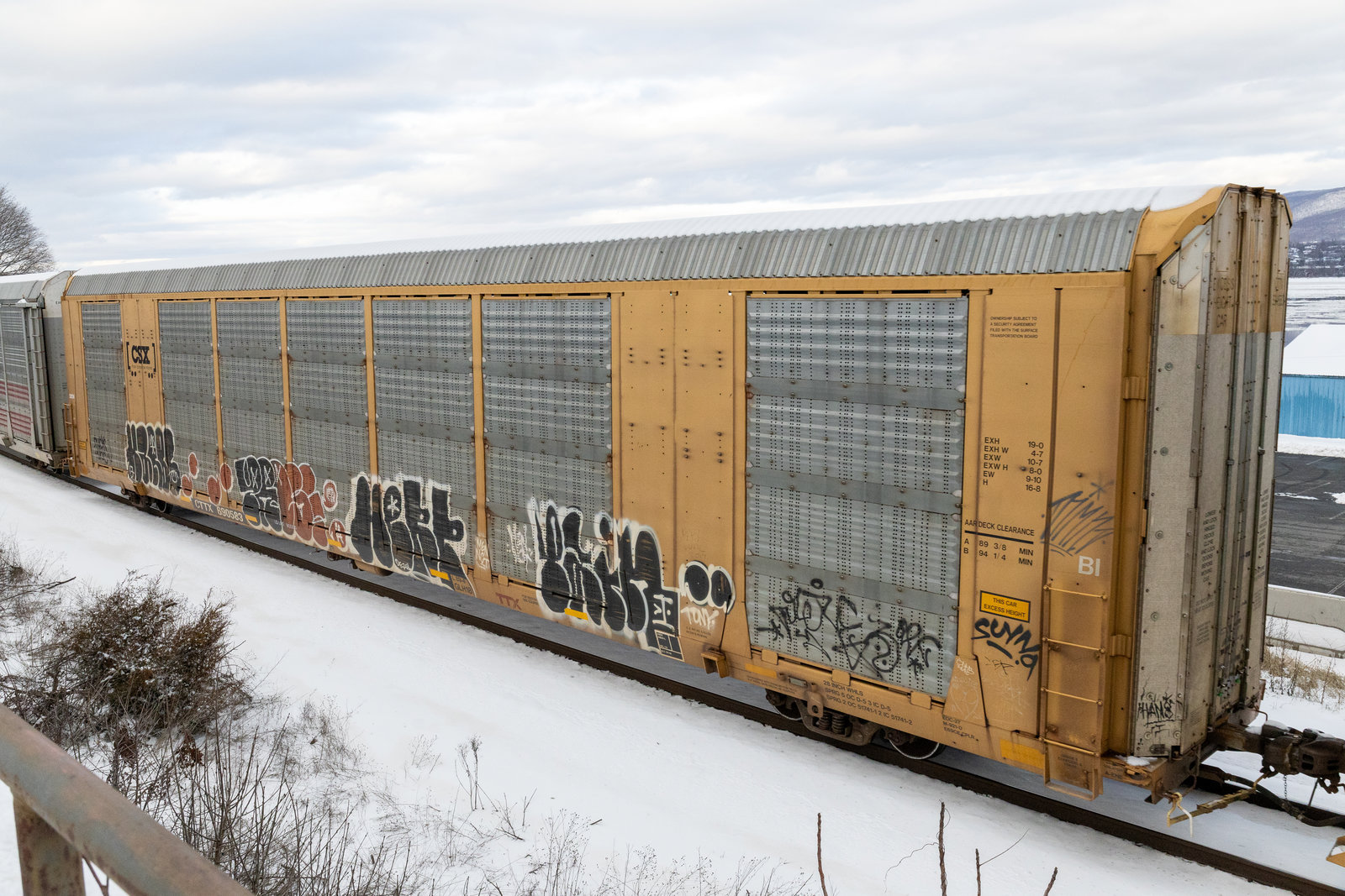 CTTX 690583