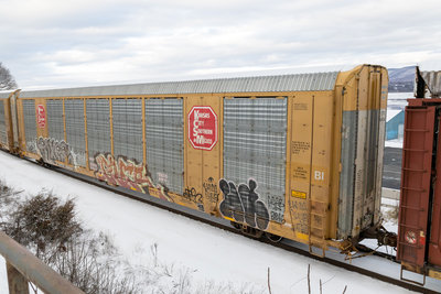 CTTX 694034
