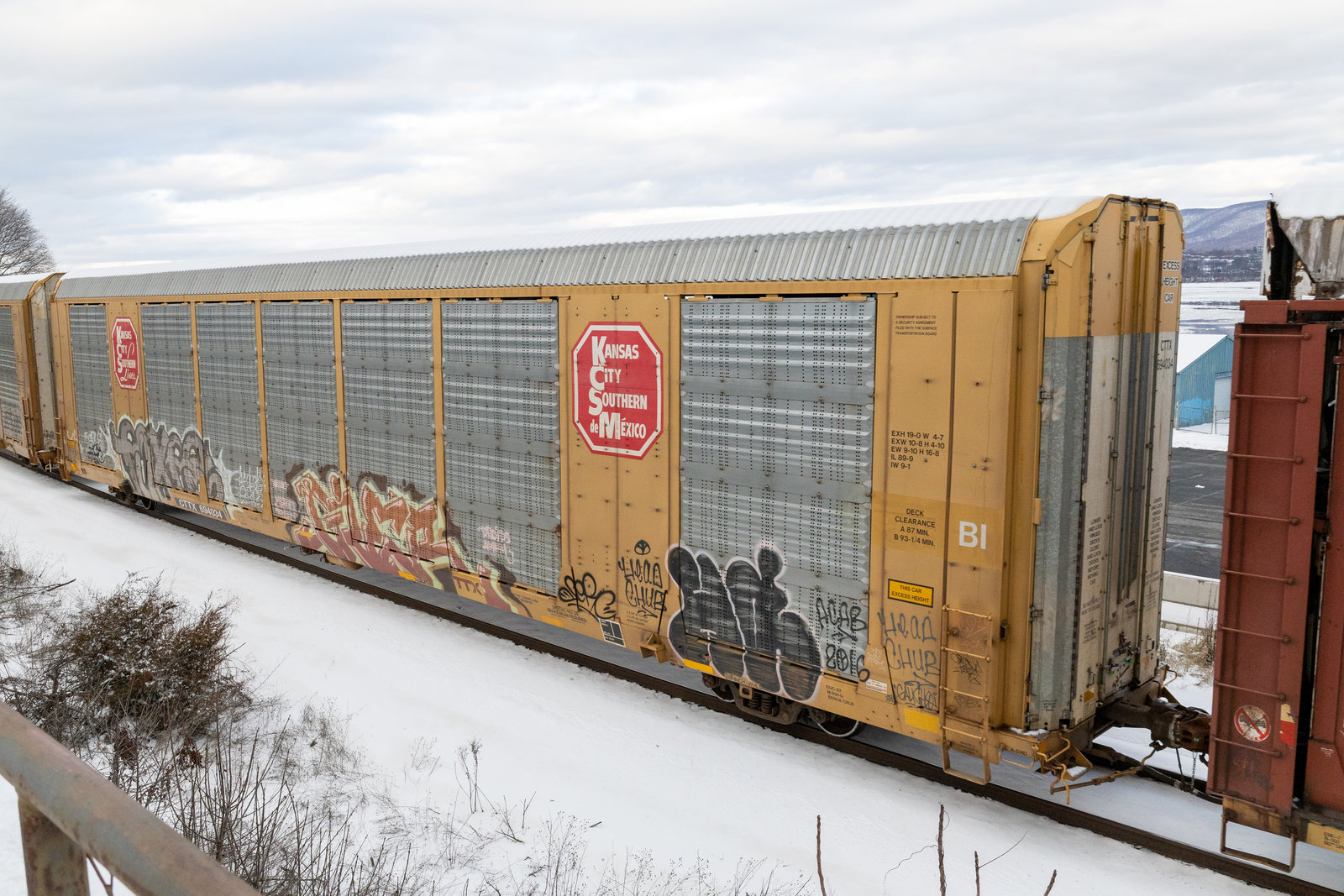 CTTX 694034