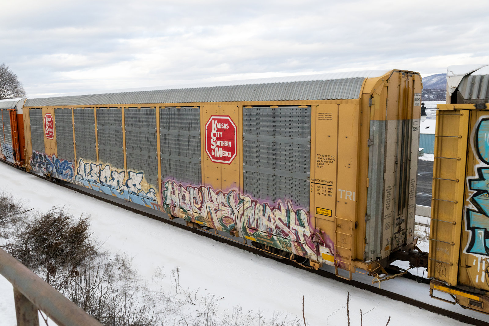 CTTX 695152