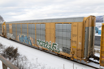 CTTX 694190