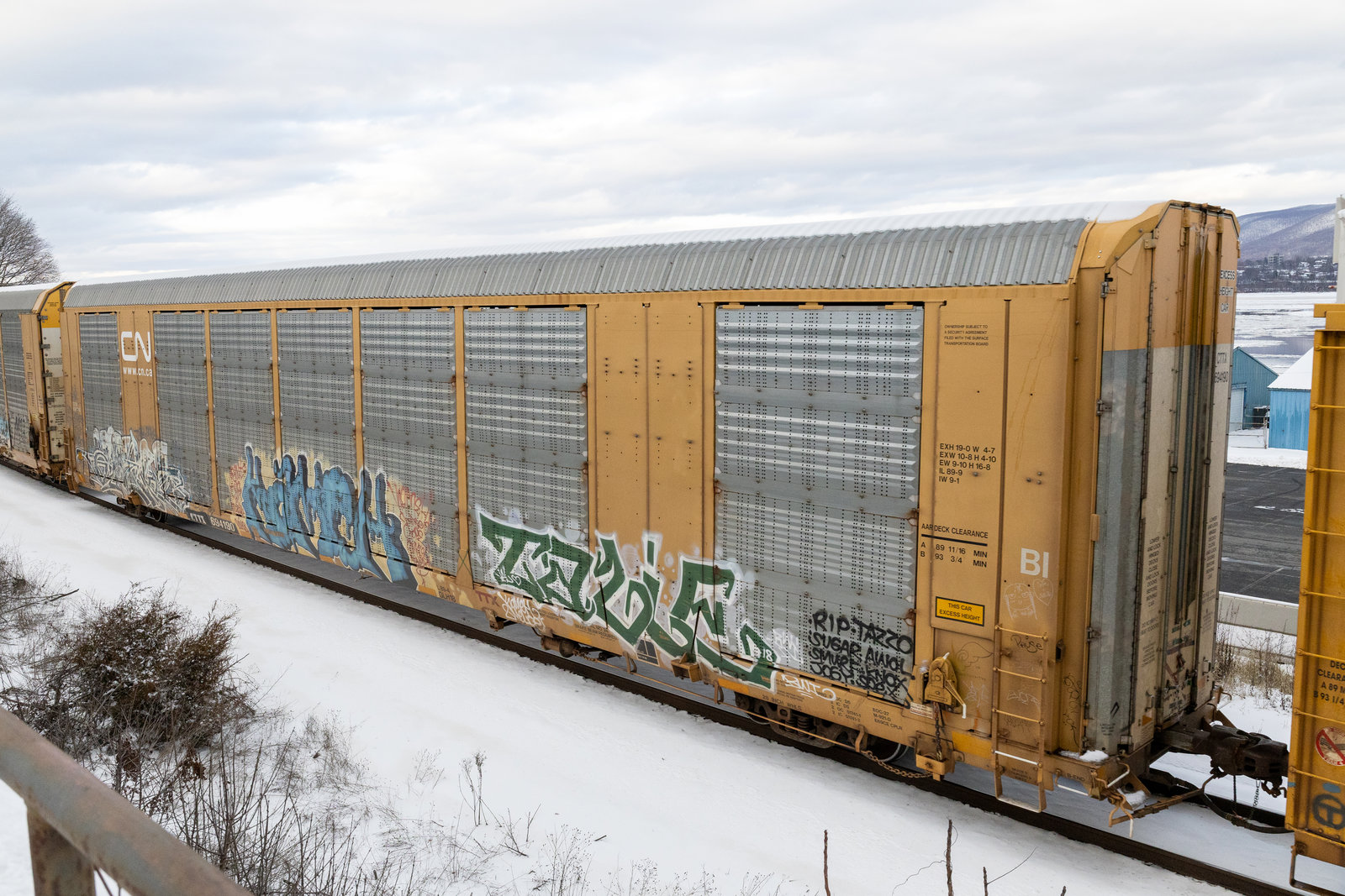 CTTX 694190
