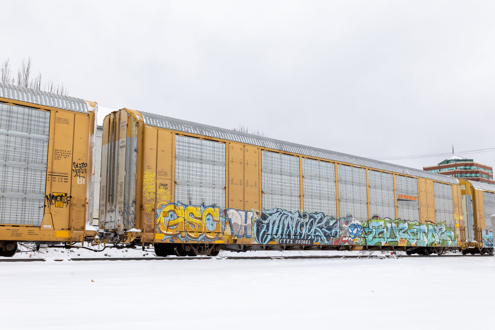 CTTX 693085