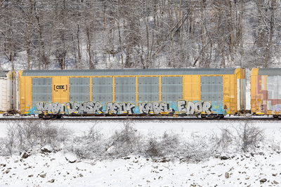 CTTX 690083