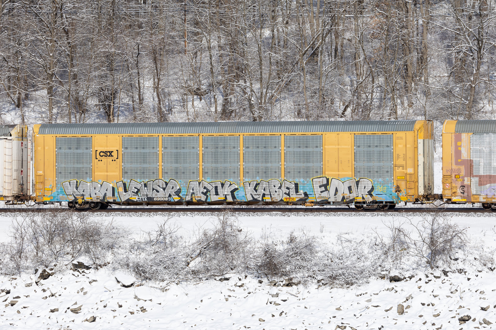 CTTX 690083