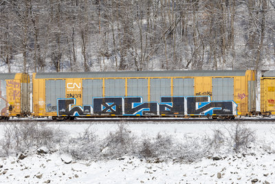 CTTX 694117