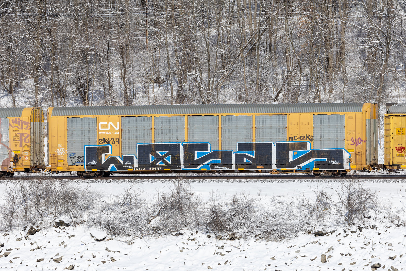 CTTX 694117