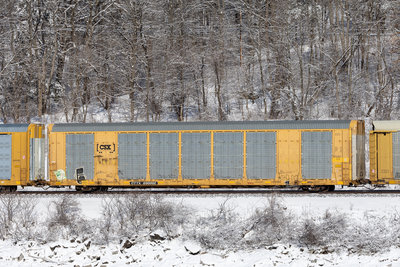 CTTX 690002
