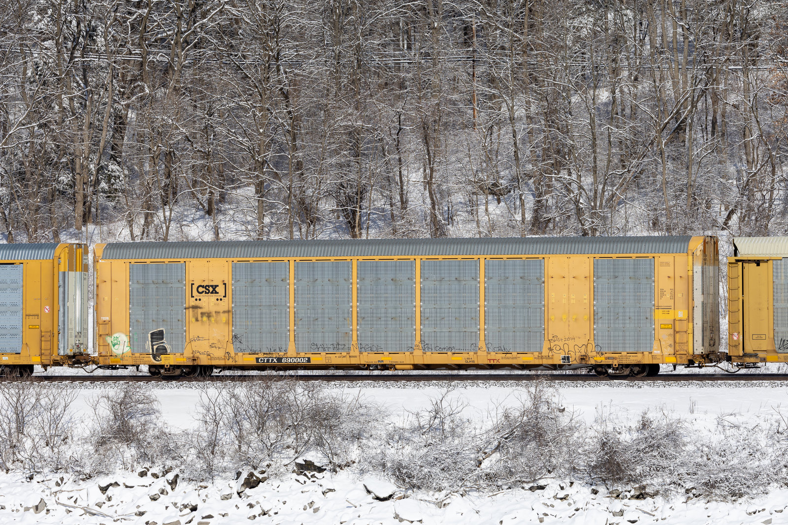 CTTX 690002