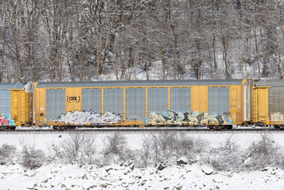 CTTX 692604