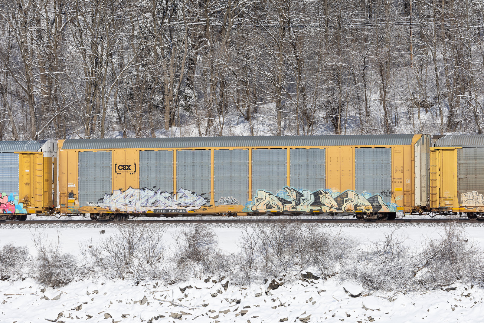 CTTX 692604