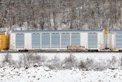 SFLC 307454