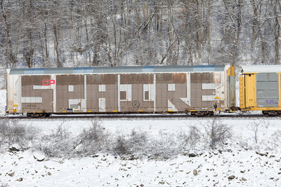 SOO 519037