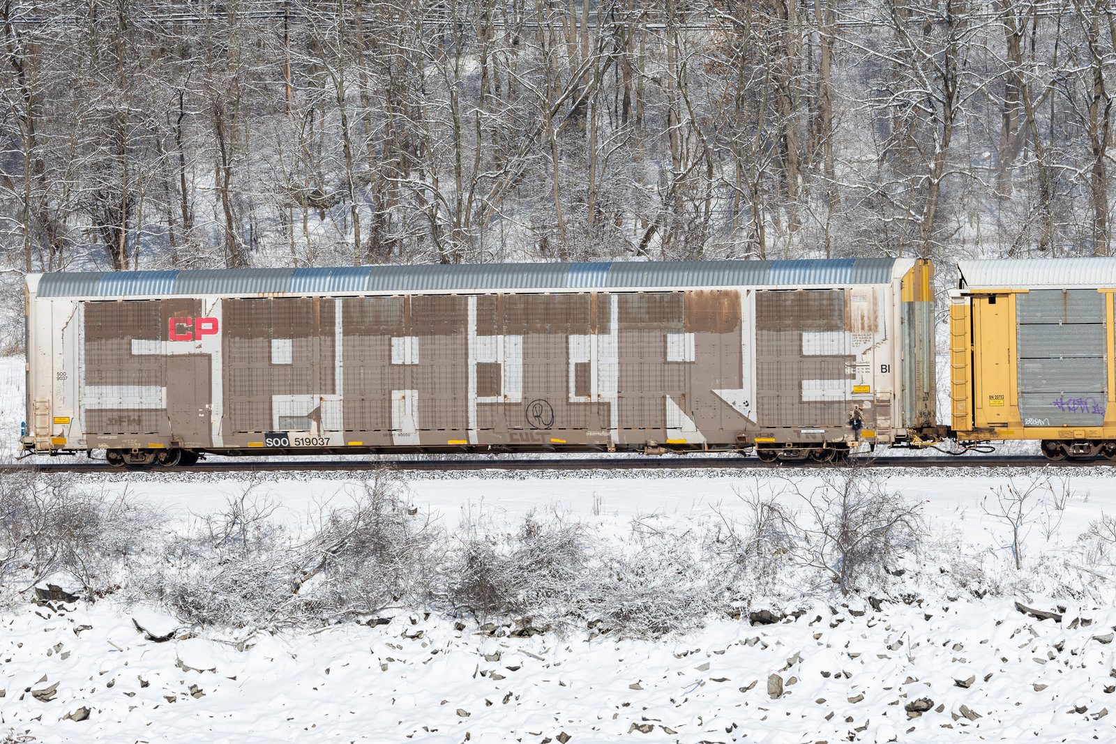 SOO 519037