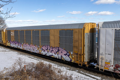 TTGX 695766