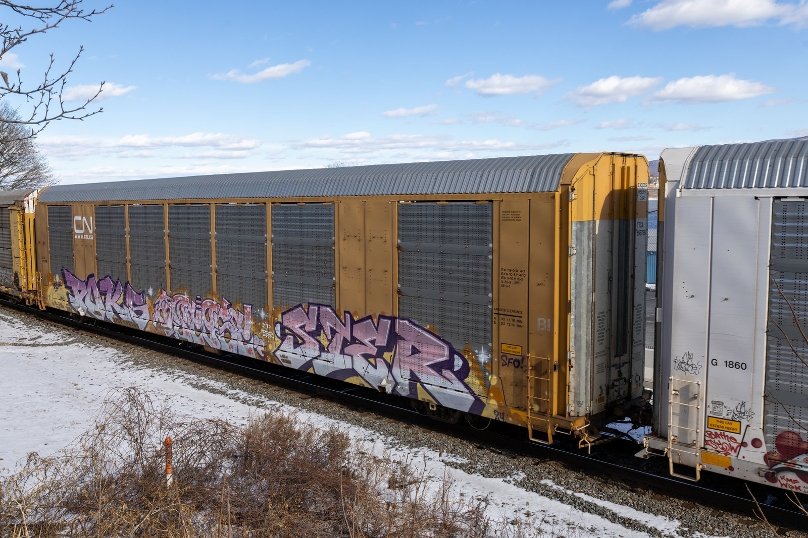TTGX 695766