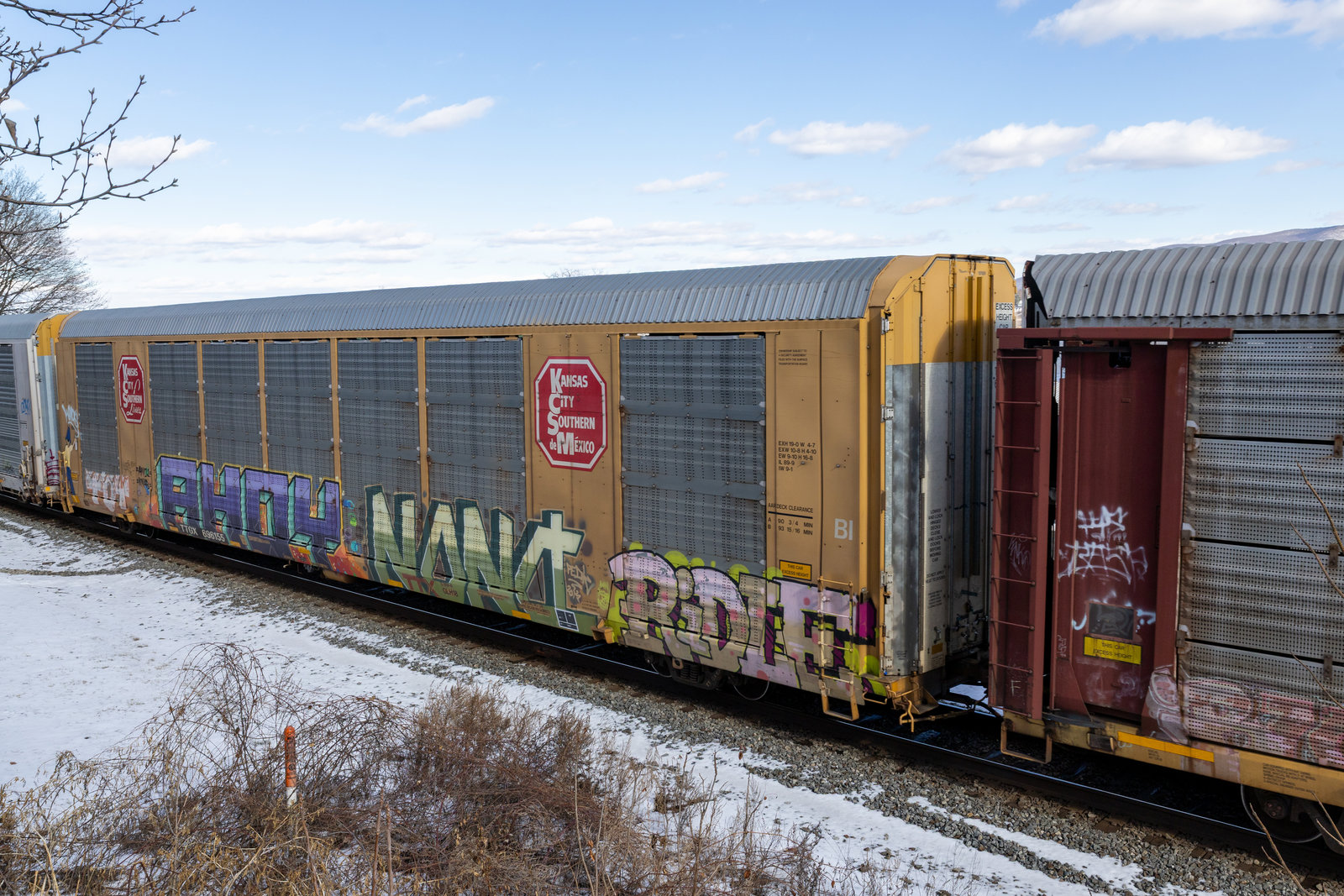 TTGX 696155