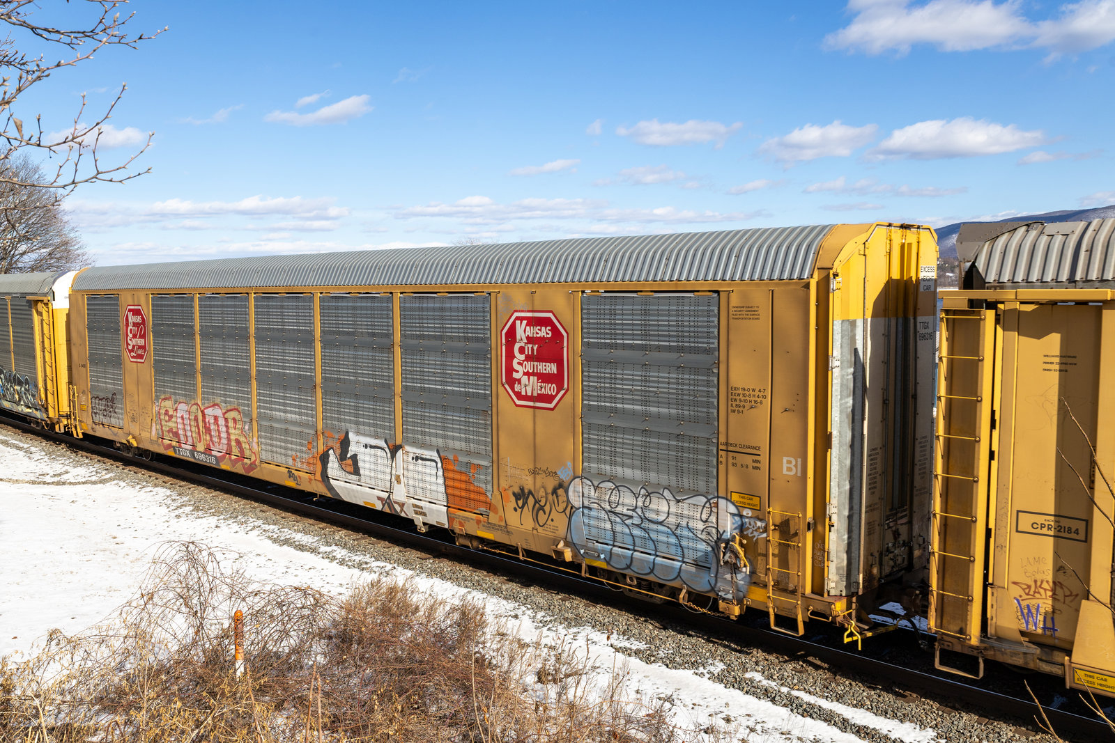 TTGX 696316