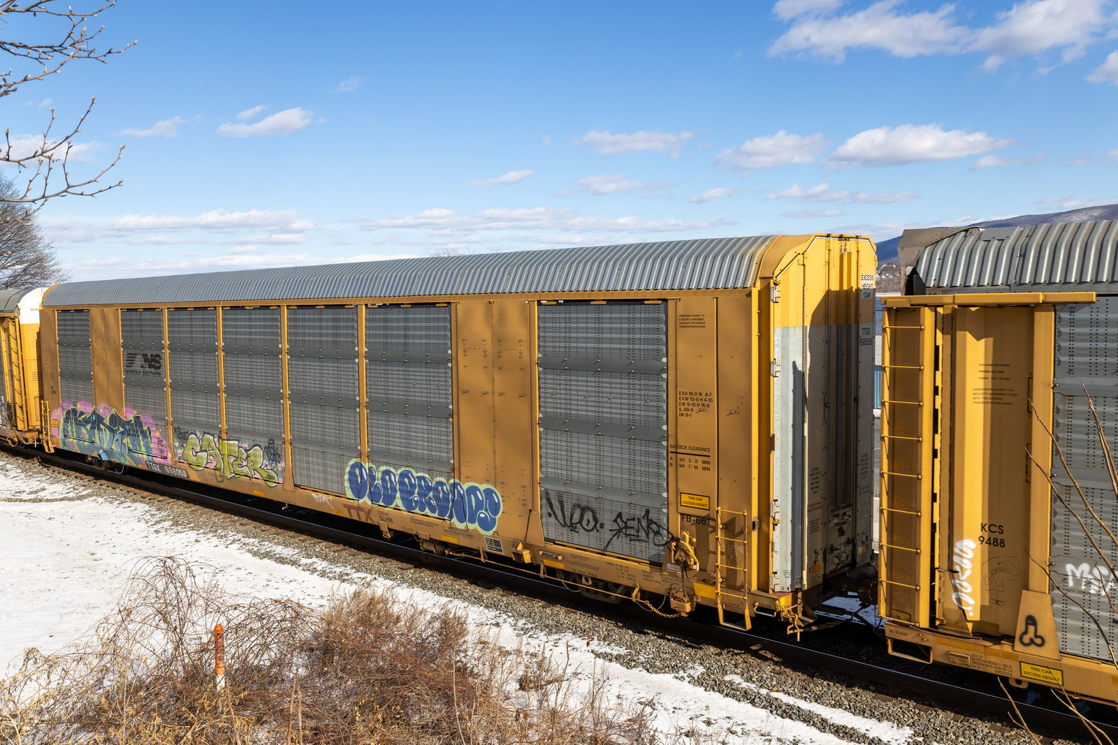 TTGX 698058