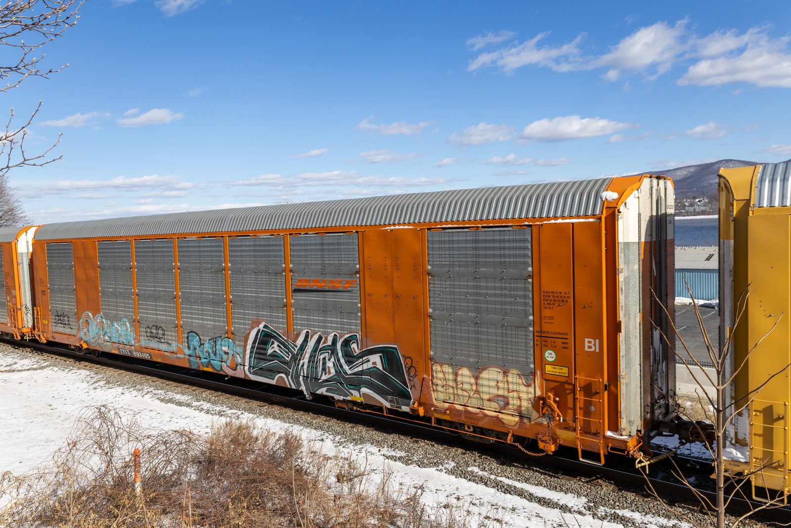 TTGX 693405