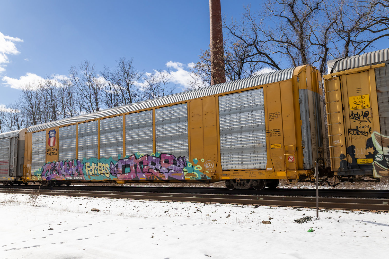 TTGX 697504