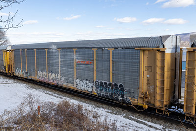 TTGX 952344