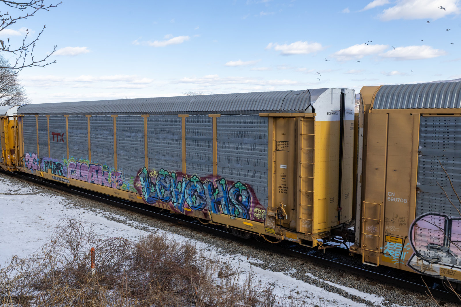 TTGX 710985