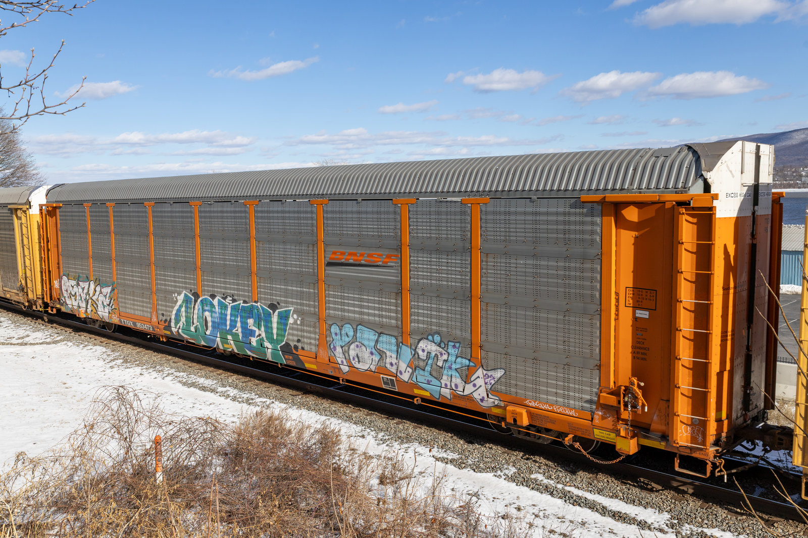 TTGX 953473