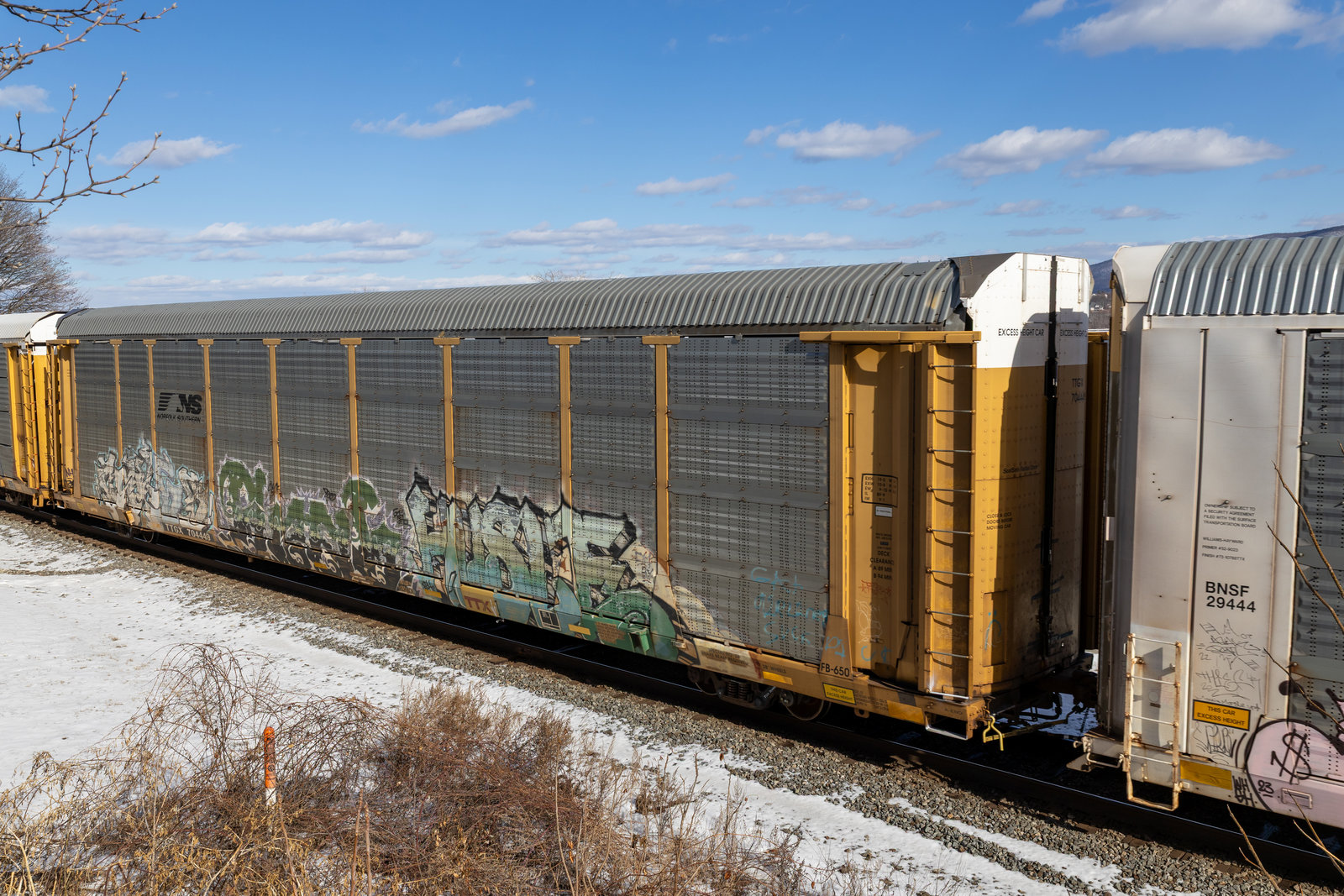 TTGX 704449