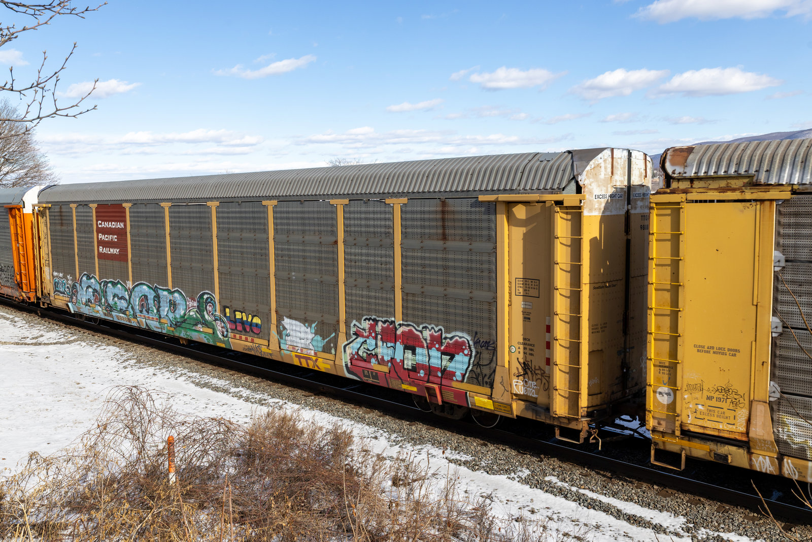 TTGX 988864