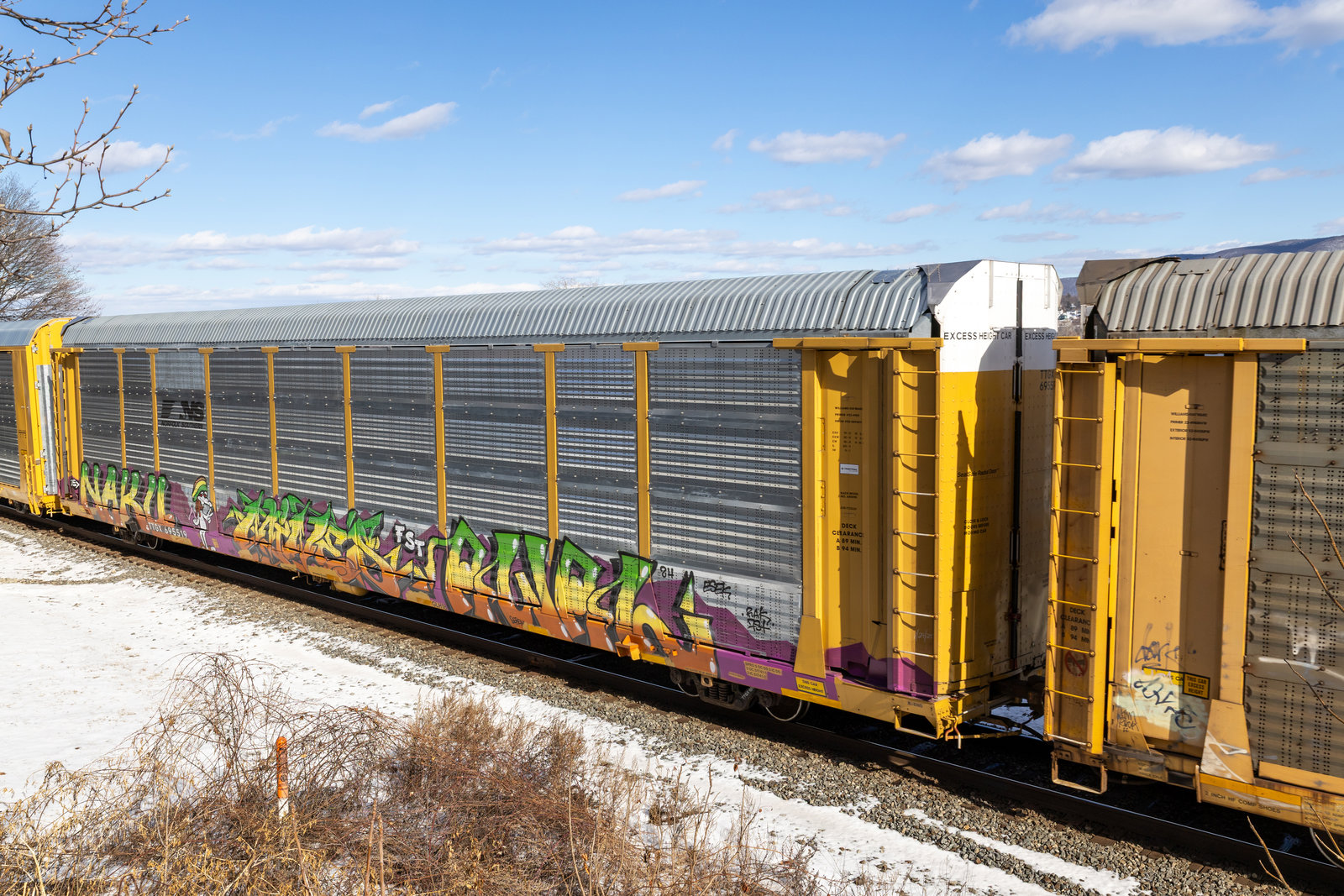 TTGX 695519