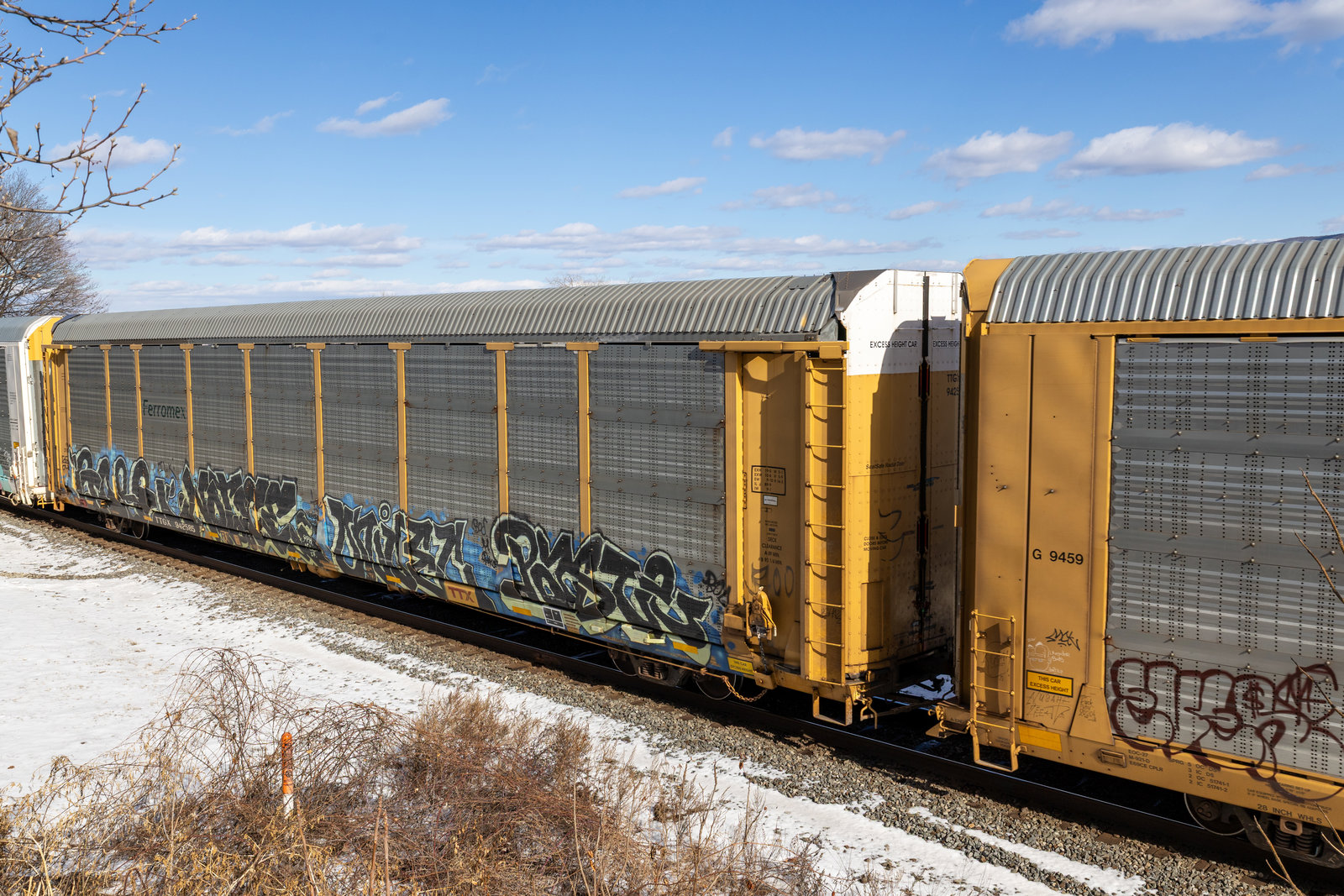 TTGX 942585